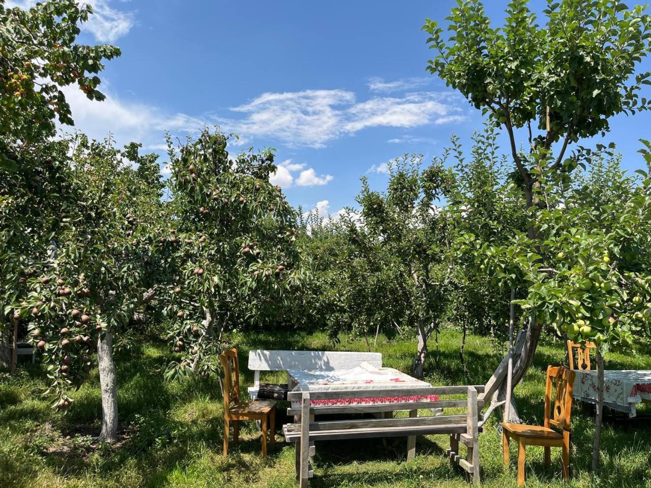 "Bilim" Guest House Tamchy 外观 照片