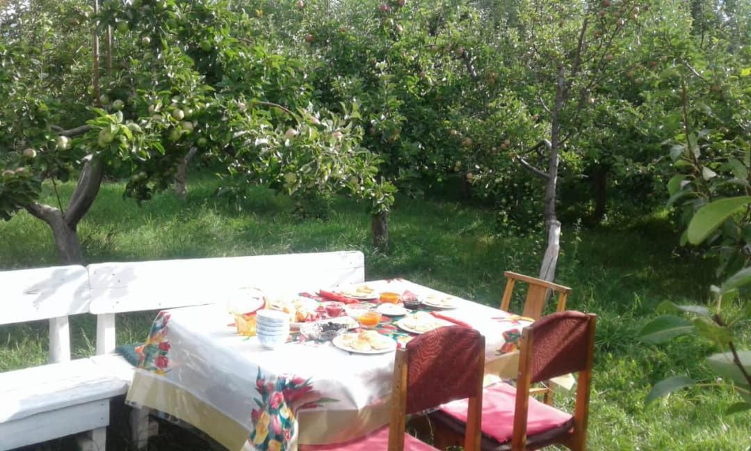 "Bilim" Guest House Tamchy 外观 照片